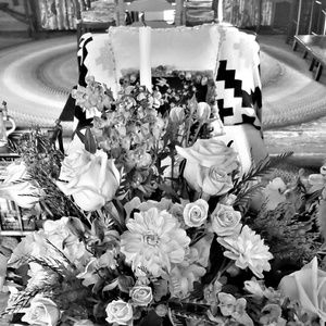 Meet your Posher, Mercedes